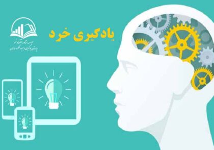 يادگيري خرد