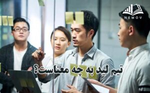 تيم ليد