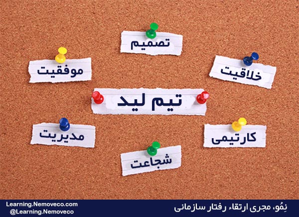 تيم ليد