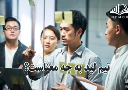تيم ليد