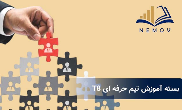 بسته آموزشي تيم حرفه اي